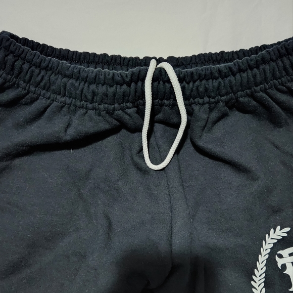 NWOT RARE BLESSTHEFALL Logo Retro Sweatpants Metalcore Band Merch Unisex - Picture 8 of 9